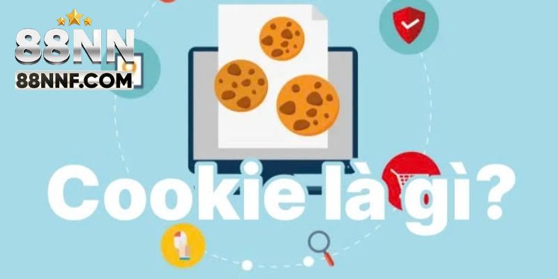 Chính sách cookie với điểm tổng quan